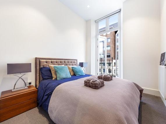 Апартаменты Harley Street Luxury Snug Лондон Экстерьер фото